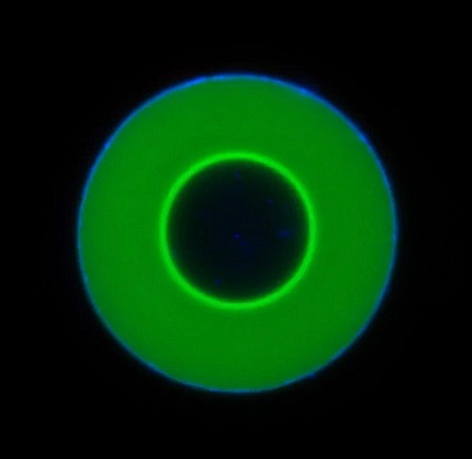 Researchers Discover Unexpected New Form of Molecular Motion Researchers Discover Unexpected New Form of Molecular Motion