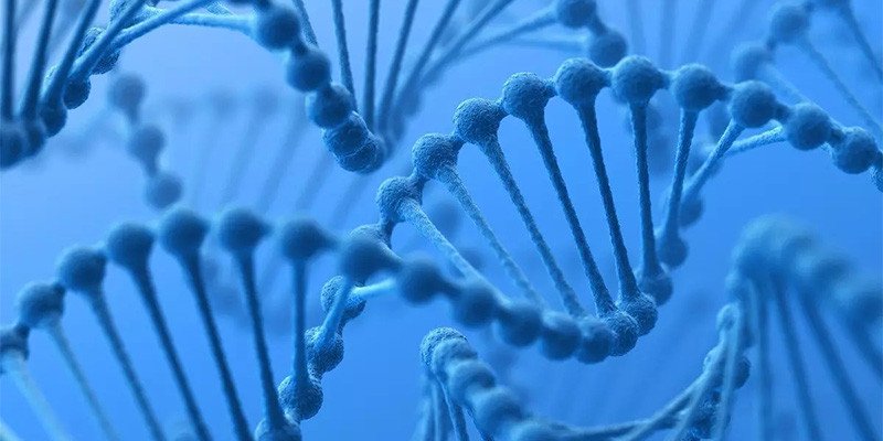 More mutations likely with genetically engineered Synthetic DNA