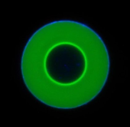 Researchers Discover Unexpected New Form of Molecular Motion Researchers Discover Unexpected New Form of Molecular Motion