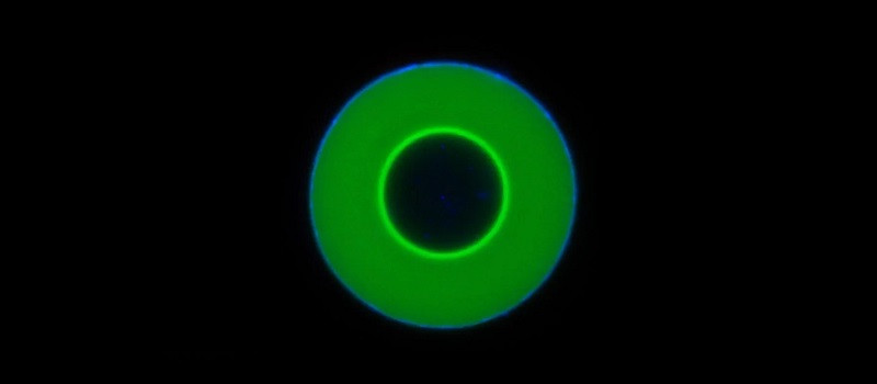 Researchers Discover Unexpected New Form of Molecular Motion
