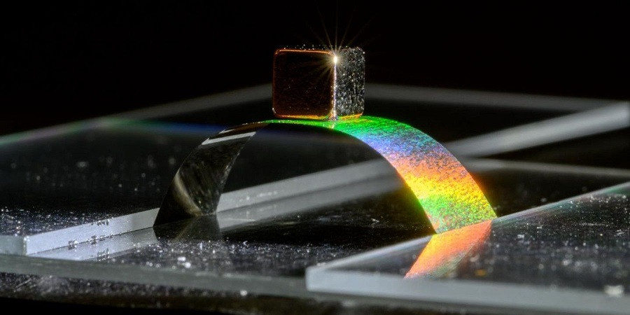 Growing Metallic Wood to New Heights